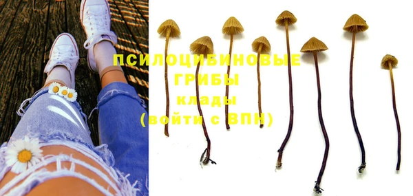 амф Абинск