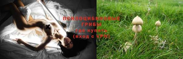 амф Абинск