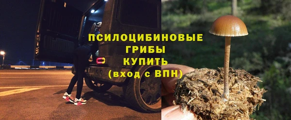 амф Абинск